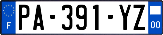 PA-391-YZ