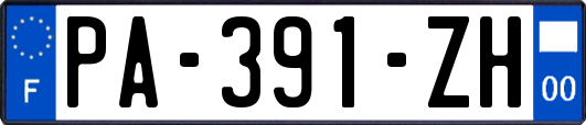 PA-391-ZH