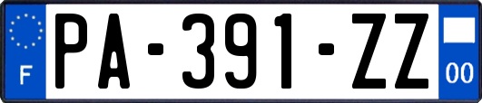 PA-391-ZZ