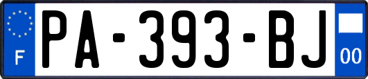 PA-393-BJ