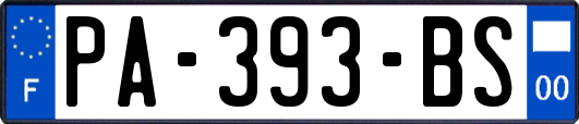 PA-393-BS