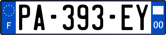 PA-393-EY