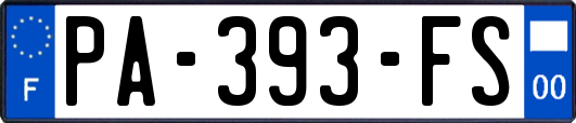 PA-393-FS