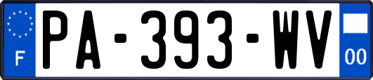 PA-393-WV