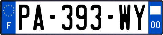 PA-393-WY