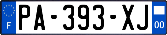 PA-393-XJ