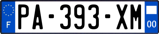 PA-393-XM