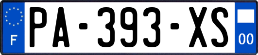 PA-393-XS