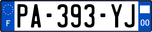 PA-393-YJ