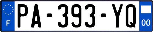 PA-393-YQ