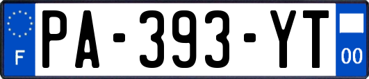 PA-393-YT
