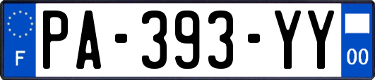 PA-393-YY