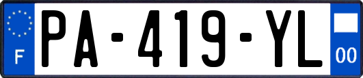 PA-419-YL