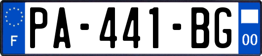 PA-441-BG