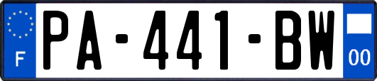 PA-441-BW