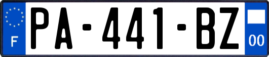 PA-441-BZ
