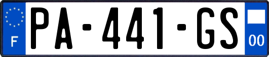 PA-441-GS