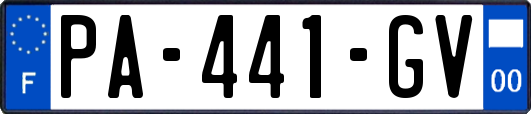 PA-441-GV