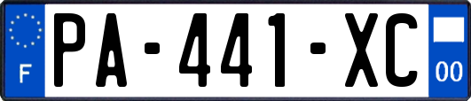 PA-441-XC