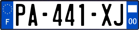 PA-441-XJ