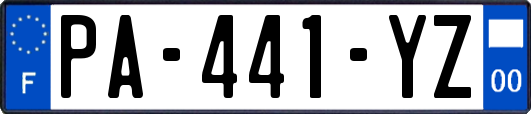 PA-441-YZ