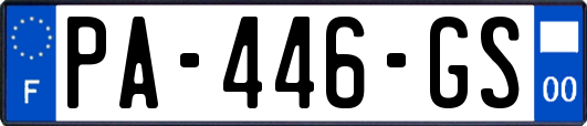 PA-446-GS