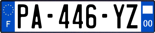 PA-446-YZ
