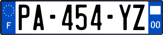 PA-454-YZ
