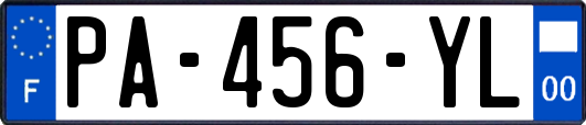 PA-456-YL