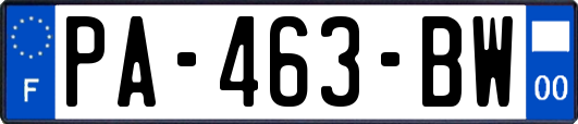 PA-463-BW