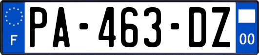 PA-463-DZ