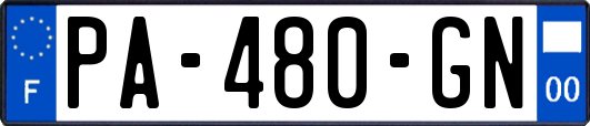 PA-480-GN