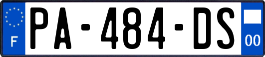 PA-484-DS