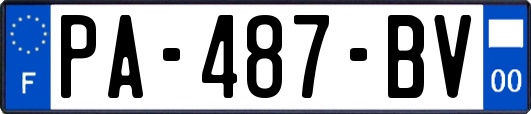 PA-487-BV