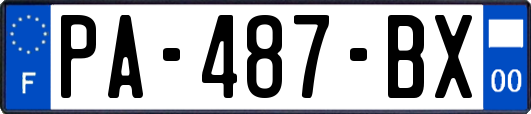 PA-487-BX