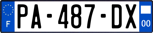 PA-487-DX