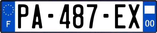 PA-487-EX