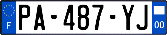 PA-487-YJ