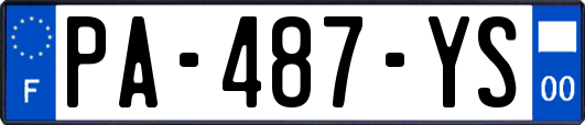 PA-487-YS