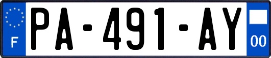 PA-491-AY
