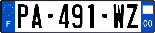 PA-491-WZ