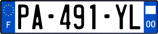 PA-491-YL