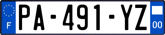PA-491-YZ
