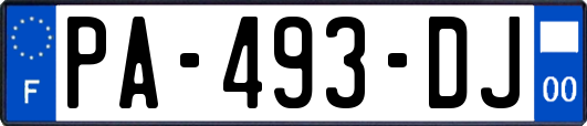 PA-493-DJ