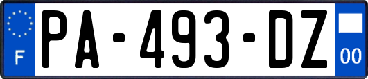 PA-493-DZ
