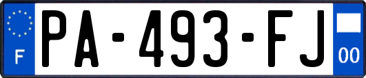 PA-493-FJ