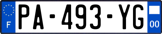 PA-493-YG