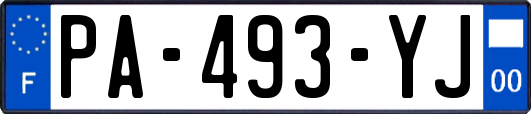 PA-493-YJ