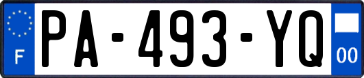 PA-493-YQ