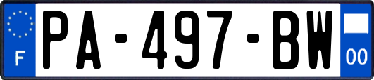 PA-497-BW